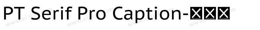 PT Serif Pro Caption字体转换